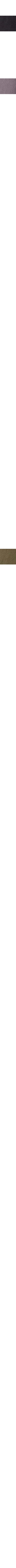 Slate Grey