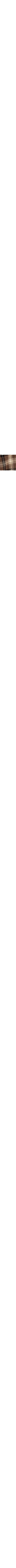 Brun à motifs
