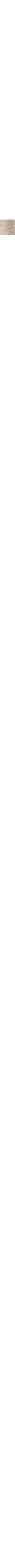 Ecru/Linen