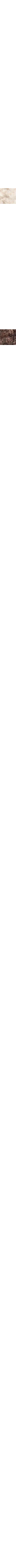 Patterned Cream