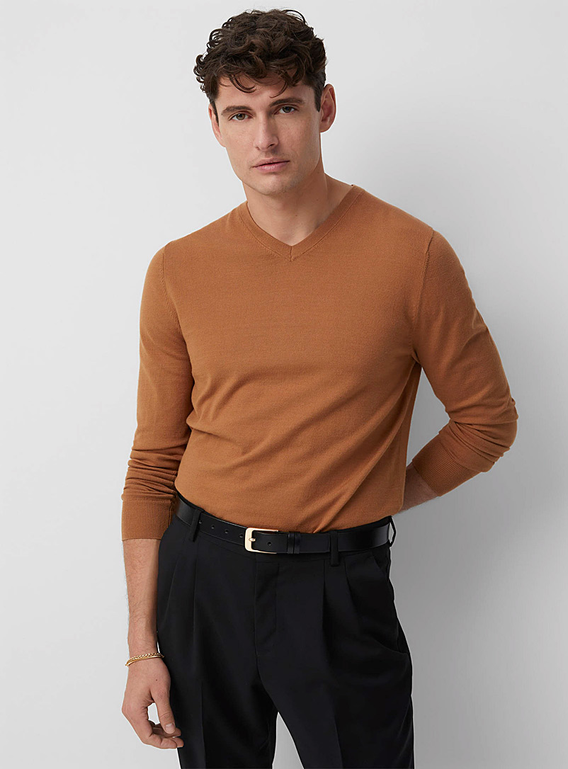 Le 31 Fawn Minimalist V-neck sweater for men