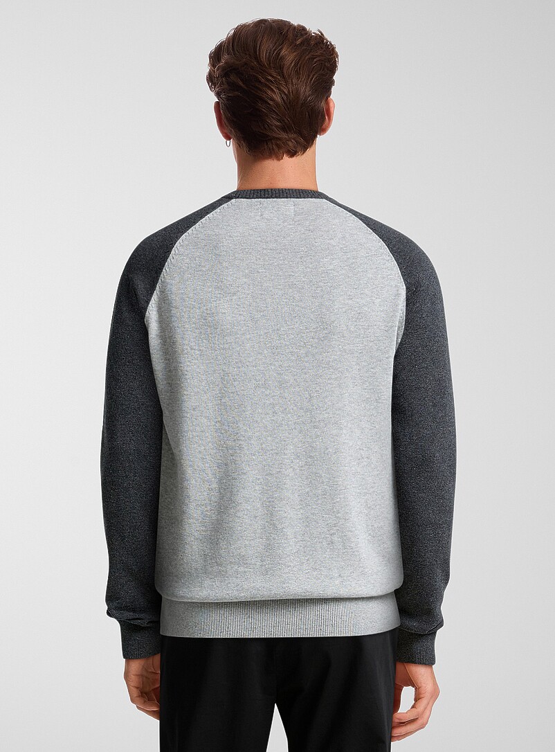 Colourblock raglan sweater | Le 31 | Shop Men's Crew Neck Sweaters