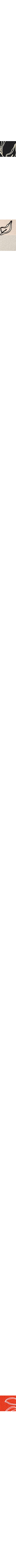 Écru - Lin