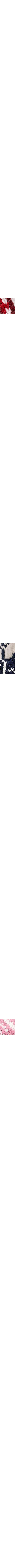 Blanc à motifs