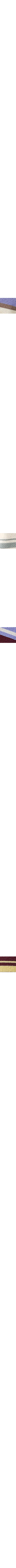 Bleu à motif
