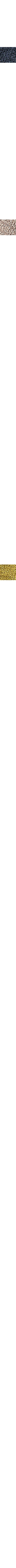 Écru - Lin
