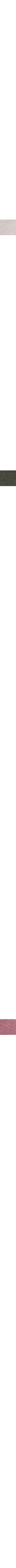 Ecru/Linen