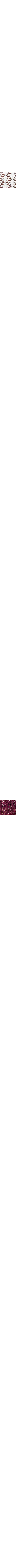Blanc cassé