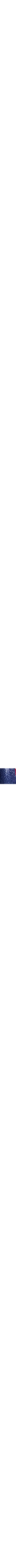 Bleu à motifs