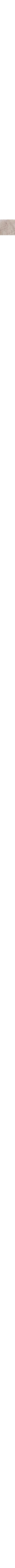 Ecru/Linen