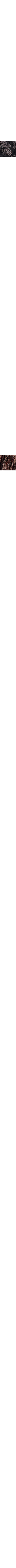 Noir à motifs