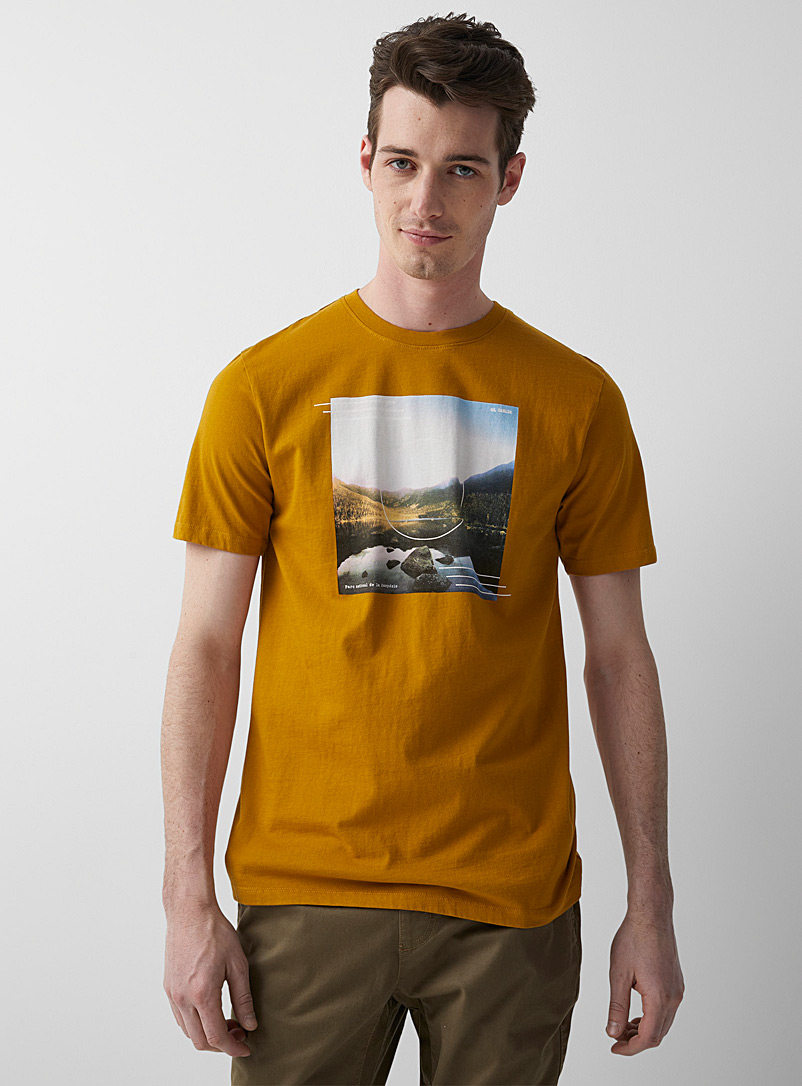 Le 31: Le t-shirt parcs canadiens Miel chameau pour homme