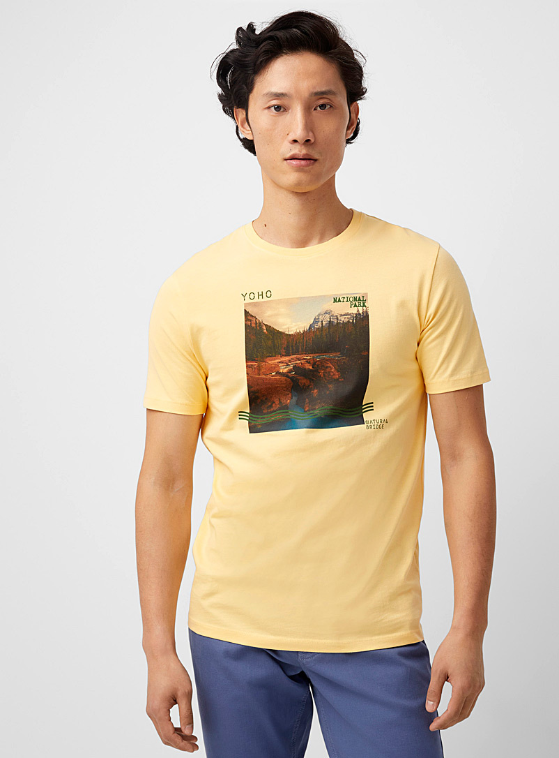Le 31 Dark Yellow Canadian parks T-shirt for men