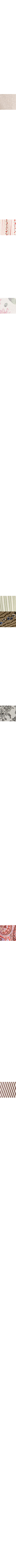 Ecru/Linen