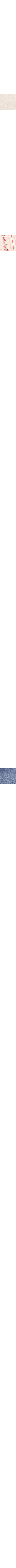 Patterned Ecru