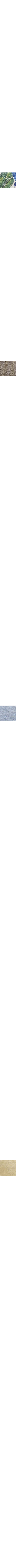 Blanc cassé