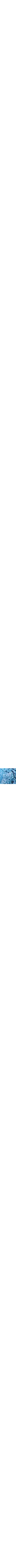 Patterned Blue