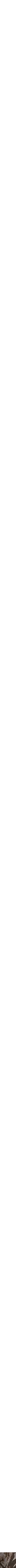 Assorti