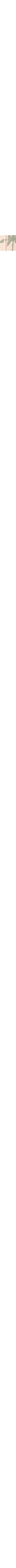 Patterned Ecru