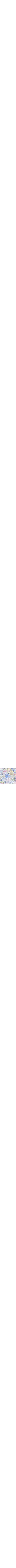 Patterned Blue