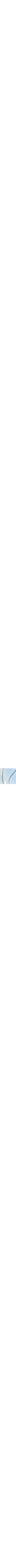 Patterned Blue