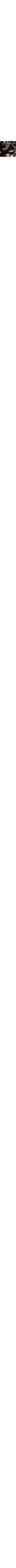 Noir à motifs