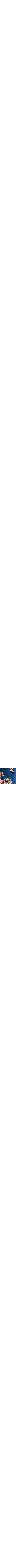 Patterned Blue