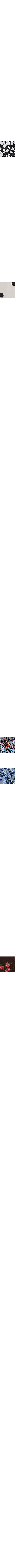 Noir à motifs