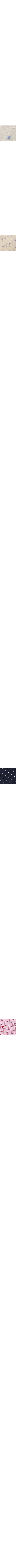 Patterned Blue