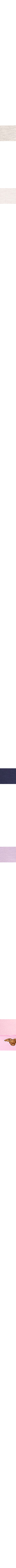 Gris à motifs