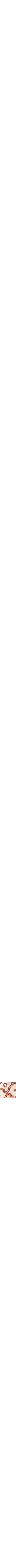 Rouge à motifs