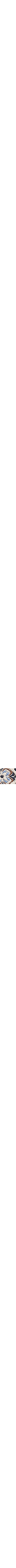 Patterned Blue