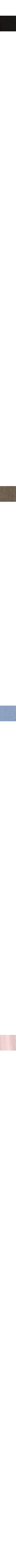 Kaki