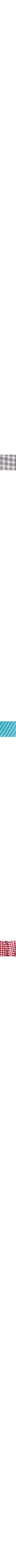 Turquoise - Rayure
