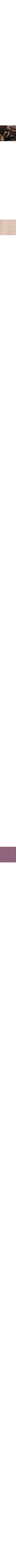 Ecru/Linen