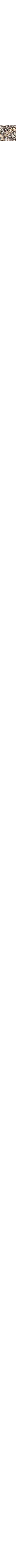 Gris à motifs