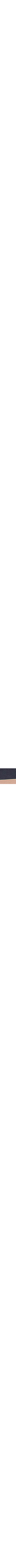Bleu à motifs