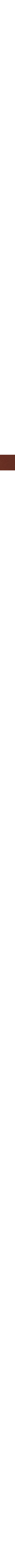 Brun à motifs