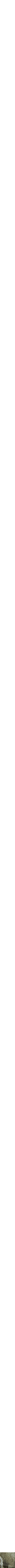 Assorti
