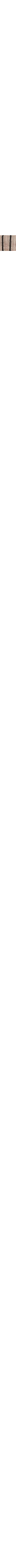 Écru à motifs