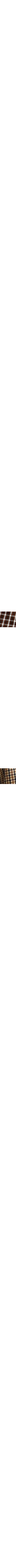 Patterned Beige