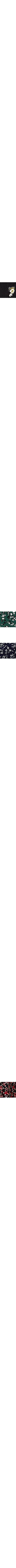Noir à motifs