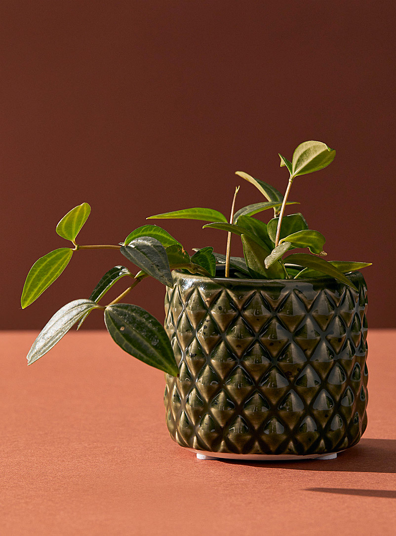 Plante artificielle en pot Herbe vert foncé pot blanc10.5'' D x 11