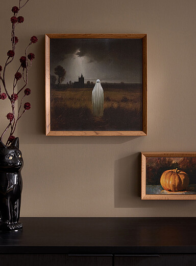 La toile fant&ocirc;me dans un champ