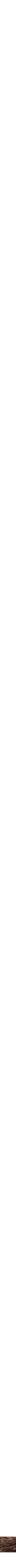 Assorti