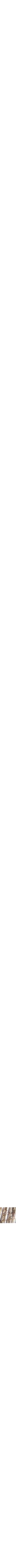Doré