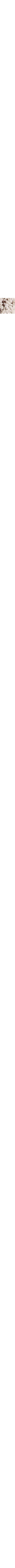 Blanc à motifs