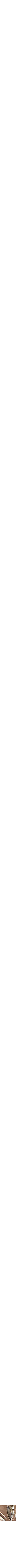 Assorti