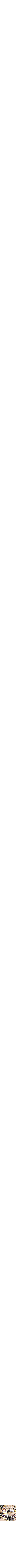 Assorti