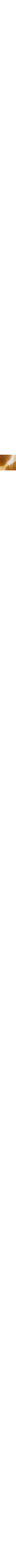 Brun à motifs